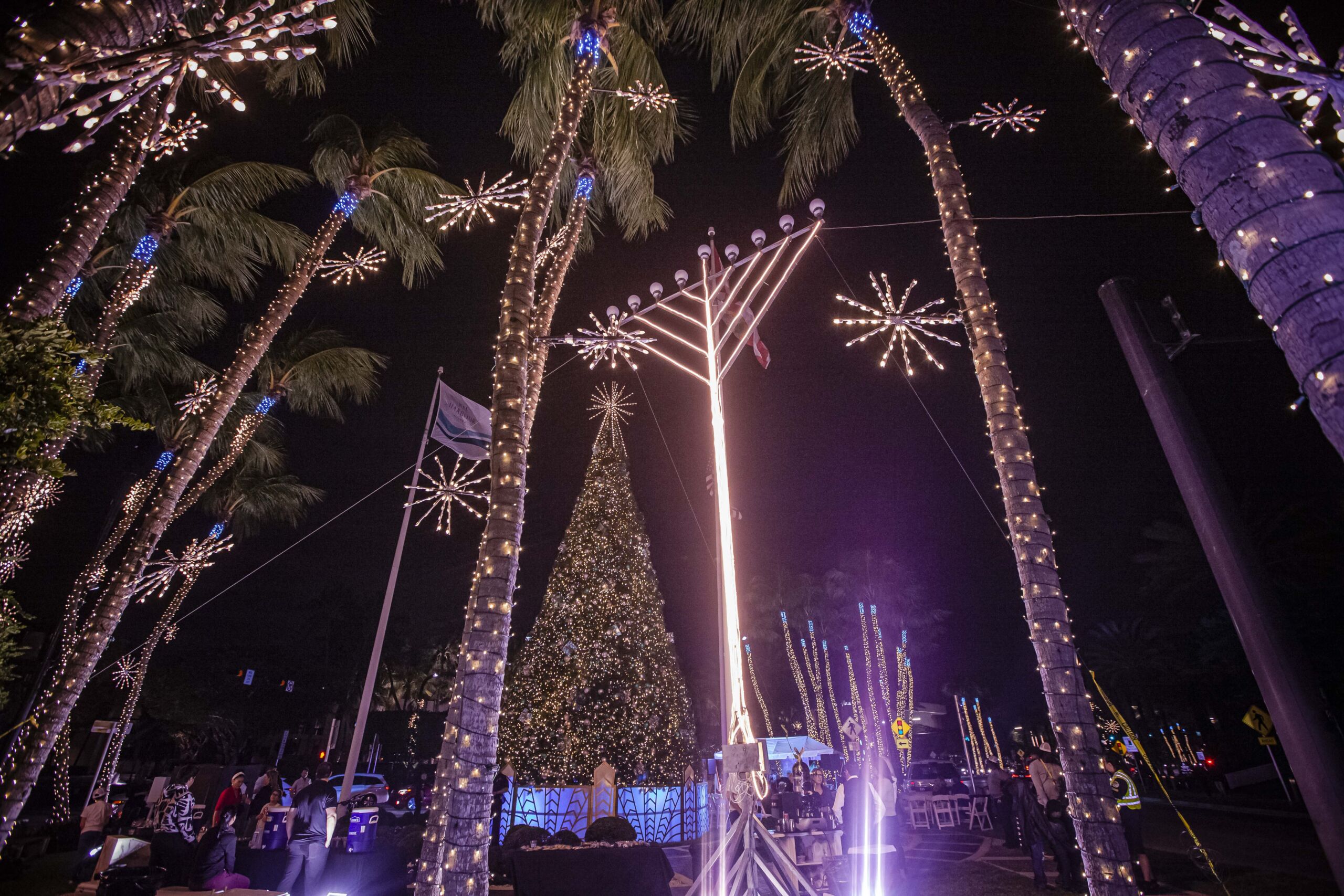 Palm trees, Christmas Tree, and Menorah with lights.