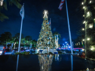 BH Tree lighting 2022_ 52