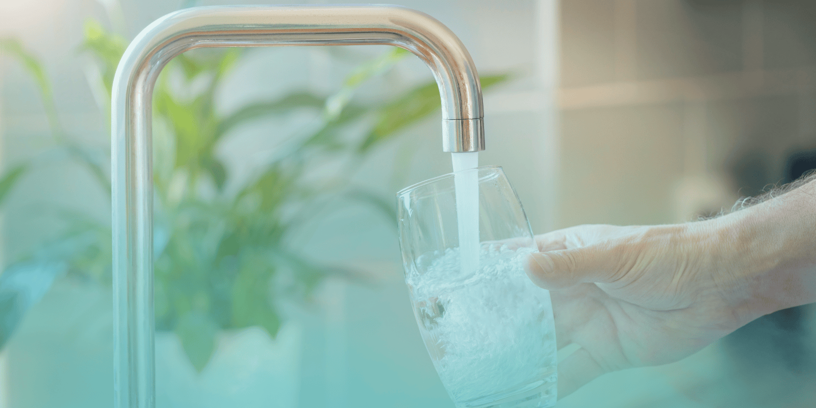 Glass being filled with water at a kitchen faucet.