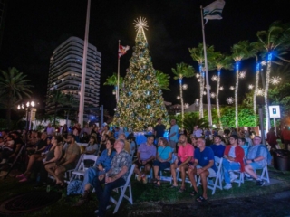 BH Tree Lightingr 2023 101