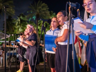 BH Tree Lightingr 2023 118