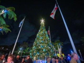 BH Tree Lightingr 2023 136