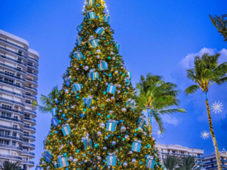 BH Tree Lightingr 2023 18