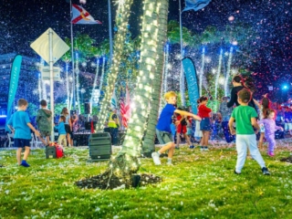 BH Tree Lightingr 2023 203