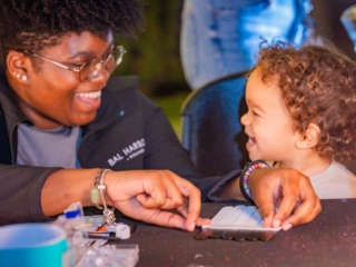 BH Tree Lightingr 2023 313