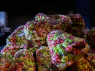 BAL HARBOUR MOVING PICS-18