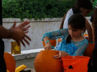 BAL HARBOUR MOVING PICS-44