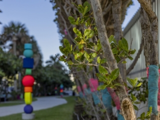 DIC6Compressed A close up of the wishing trees to the right, and one of the colorful sculptures in the distance to the left.