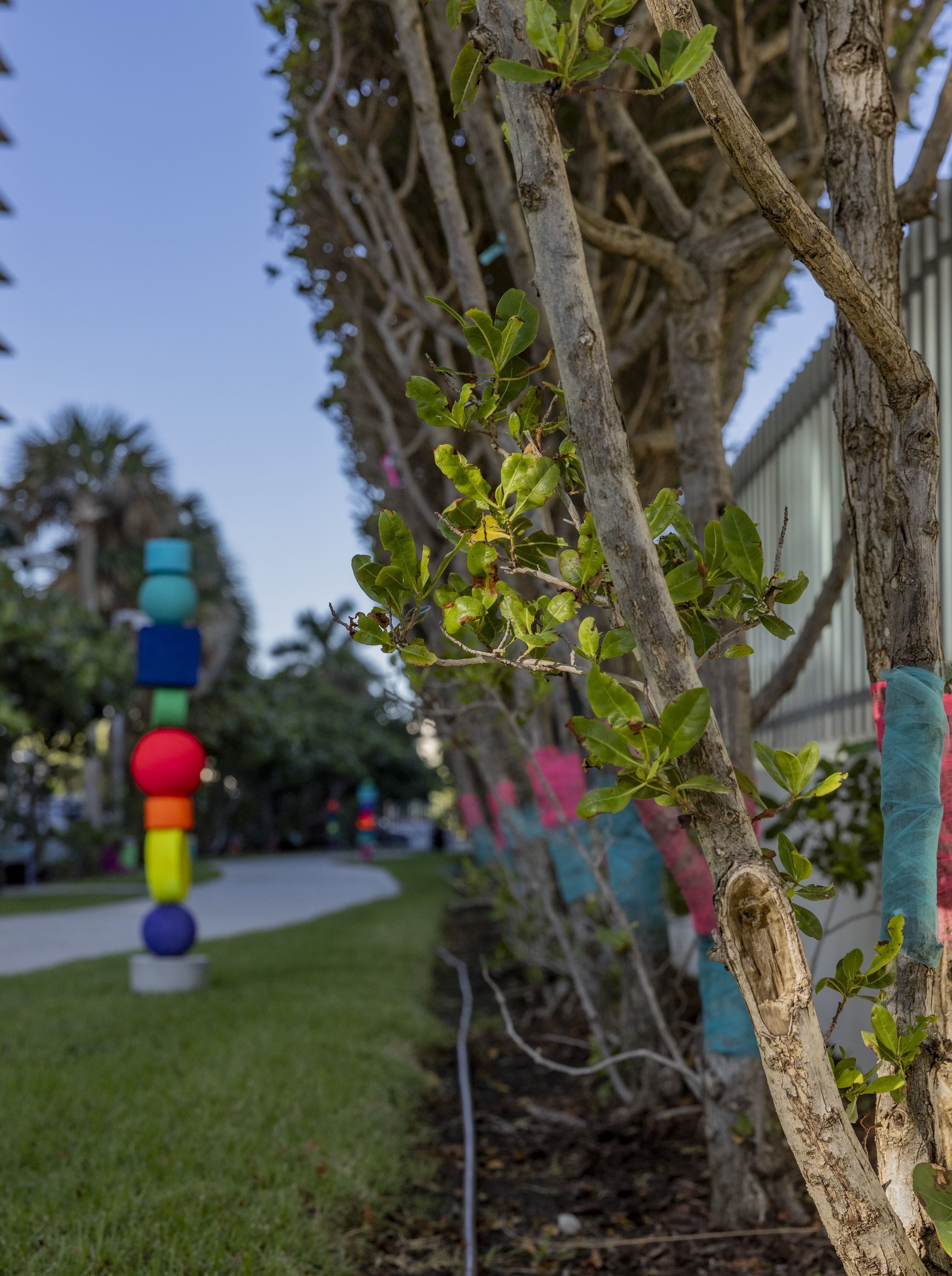 A close up of the wishing trees to the right, and one of the colorful sculptures in the distance to the left.