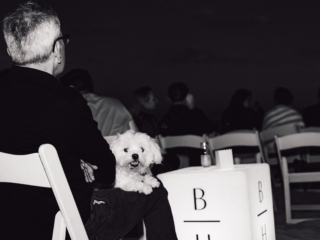 BalHarbourFilmFest-67-COMPRESSED A black and white image with the back profile of a man looking forward, sitting on a white chair. He has a white dog on his lap who is staring straight at the camera. You can see other people sitting on chairs in front of him.