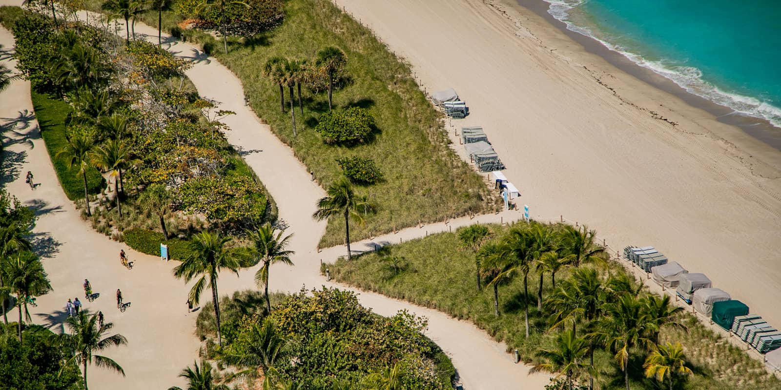 The sandy paths leading to the beach on a sunny day