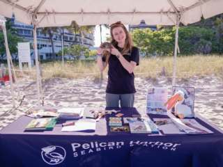 bal harbour spring ydalvs-082