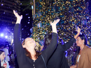 HOLIDAY LIGHTING-123