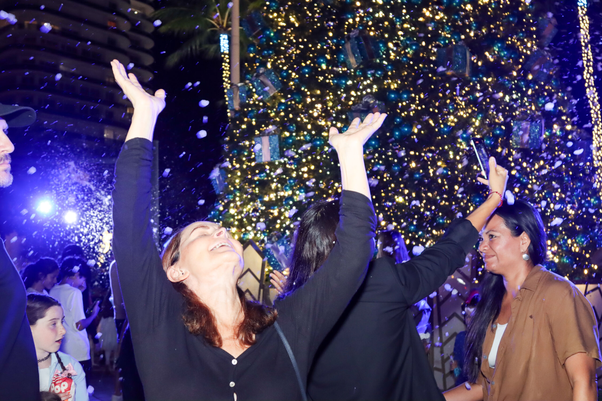 HOLIDAY LIGHTING-123