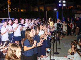 HOLIDAY LIGHTING-198