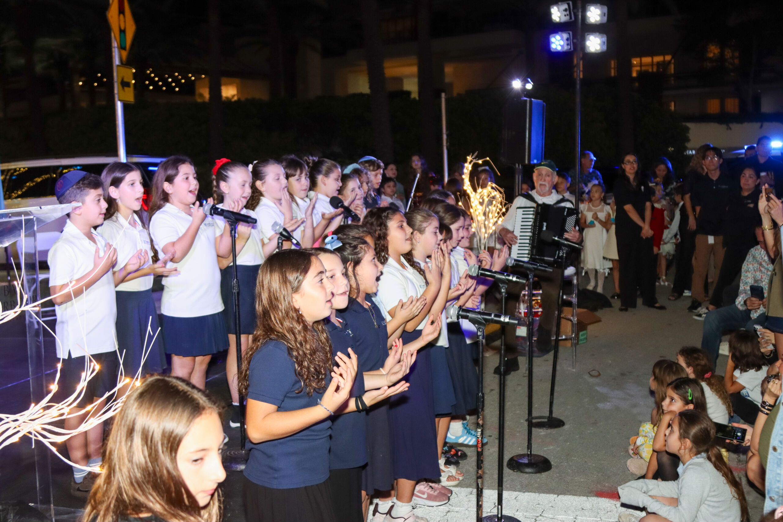 HOLIDAY LIGHTING-198