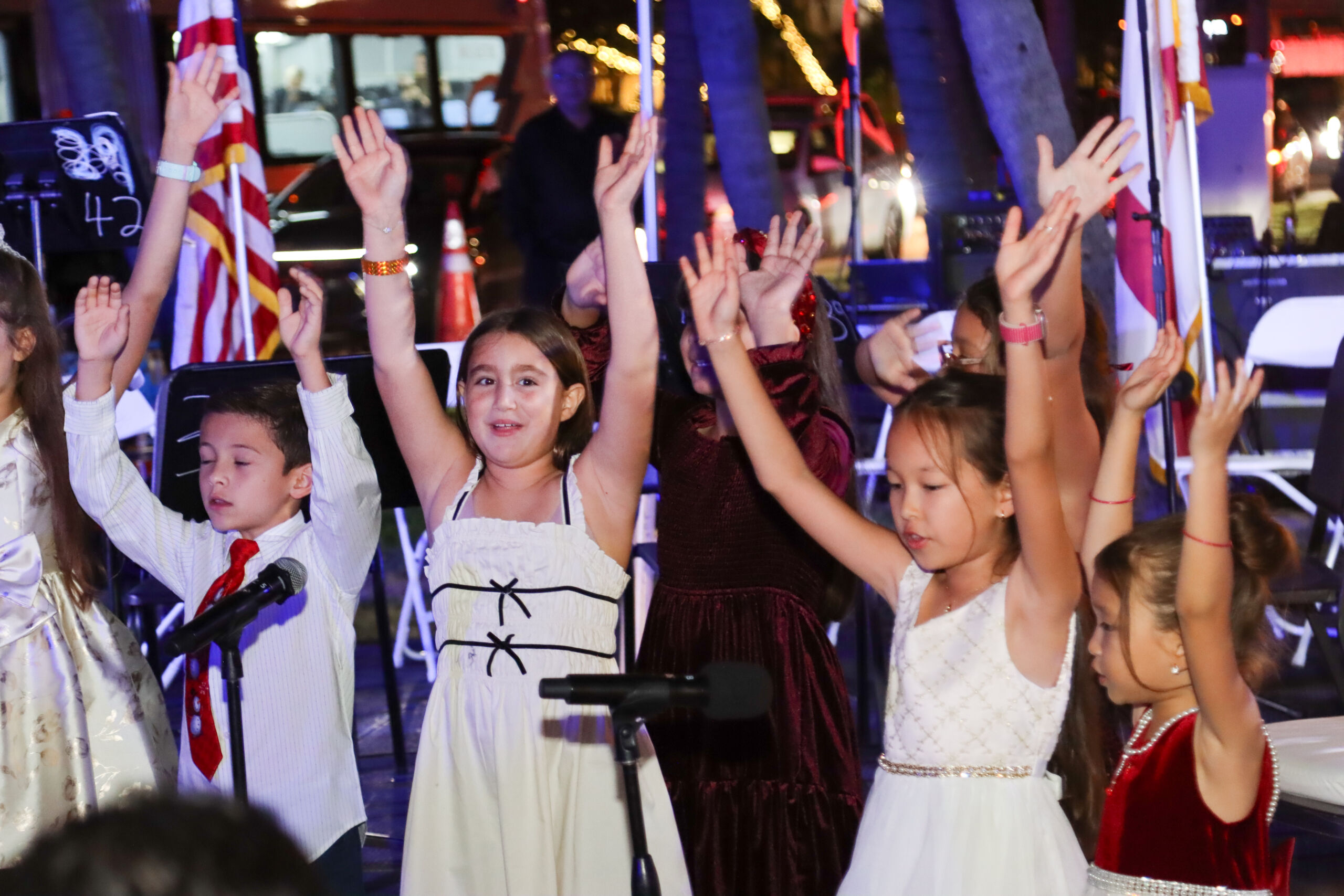 HOLIDAY LIGHTING-290