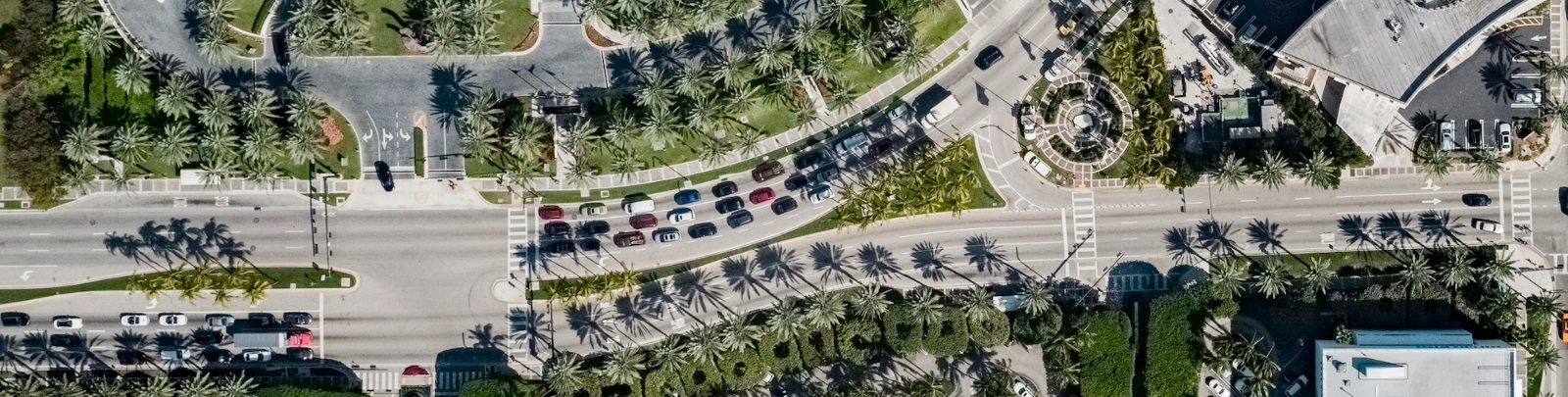 Aerial view of an urban street intersection with lined palm trees, curved roads, and parked cars. Nearby are modern buildings and green spaces, creating a structured yet lush environment.
